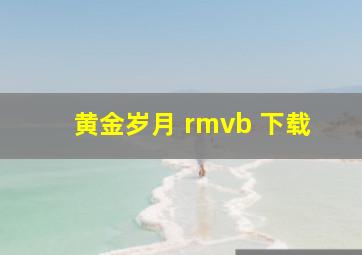 黄金岁月 rmvb 下载